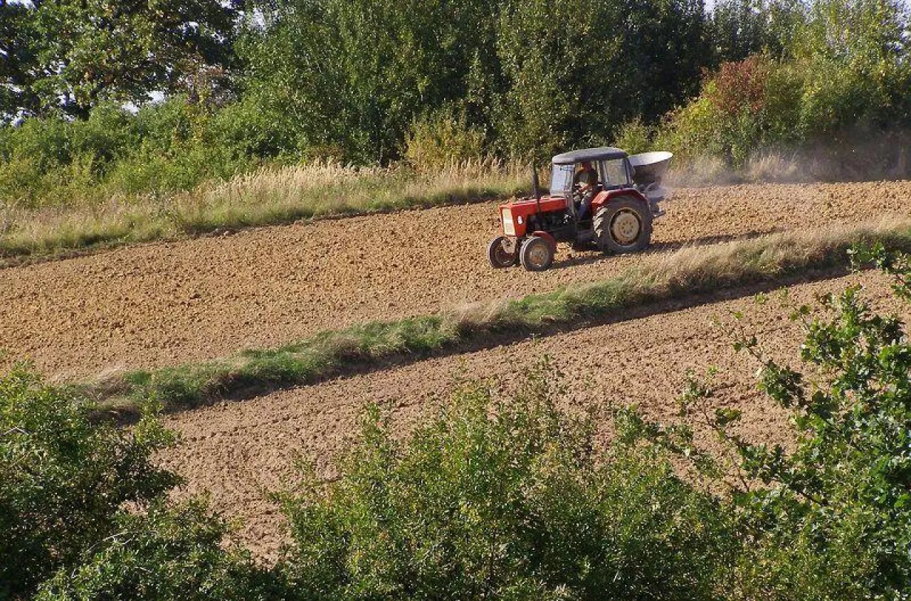 Restrukturyzacja małych gospodarstw 2022 dla kogo 60 tys zł dotacji