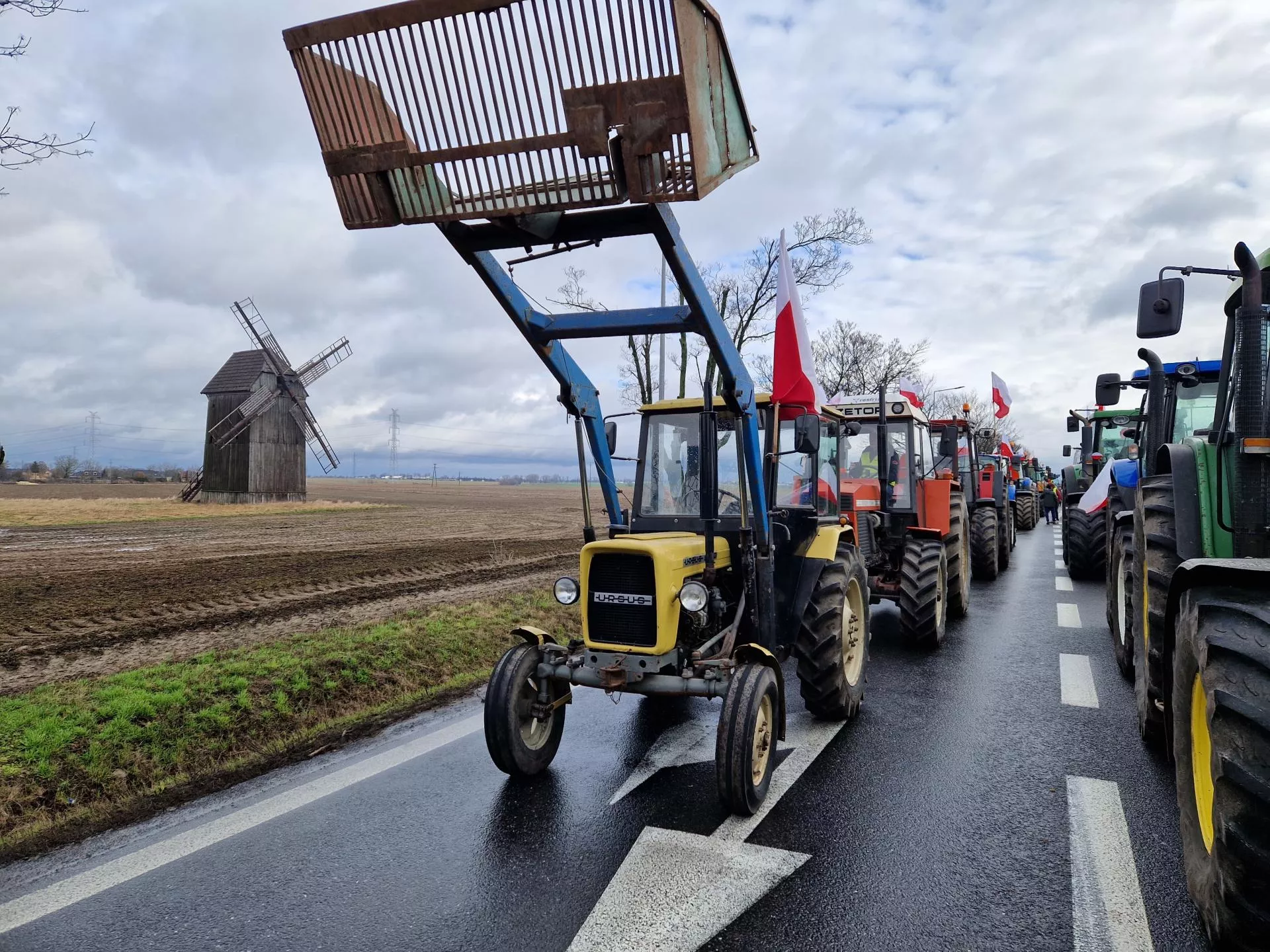 Sprzeczne Dzia Ania Ke Nasi Rolnicy Maj Zielony Ad A Wymogi Dla