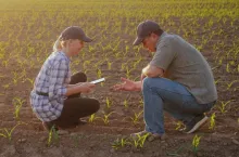 Two farmers work in the field in the evening before sunset. Inspect the green shoots on the field, use a tablet