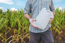 Farmer holding pesticide chemical jug in cornfield. Blank unlabelled bottle as mock up copy space for herbicide, fungicide or insecticide used in corn crop farming.