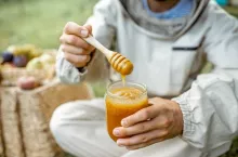 Beekeeper tasting honey on the apiary outdoors, close-up view
