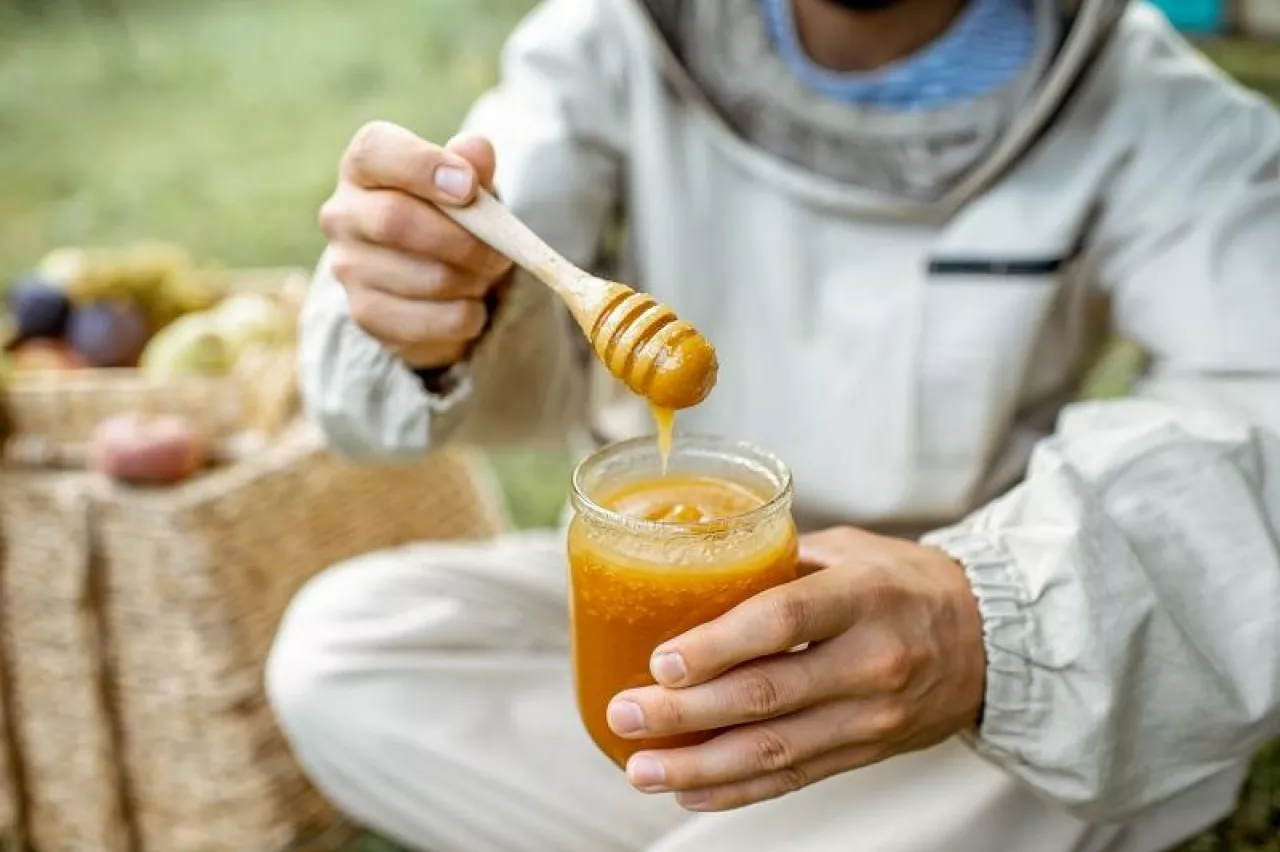 Beekeeper tasting honey on the apiary outdoors, close-up view