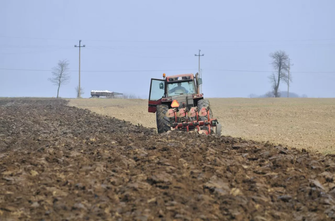 Jakie dopłaty bezpośrednie dostaną polscy rolnicy, a jakie farmerzy z ...