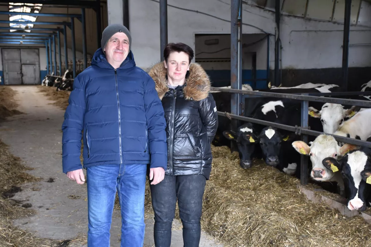 &lt;p&gt;Jak przyznaje Andrzej Wyszomirski, wydajność mleczna jego stada znacznie poszła w górę dzięki nowemu wozowi paszowemu. Był to skok o prawie 1 tys. kg mleka w skali roku od przeciętnej krowy.&lt;/p&gt;