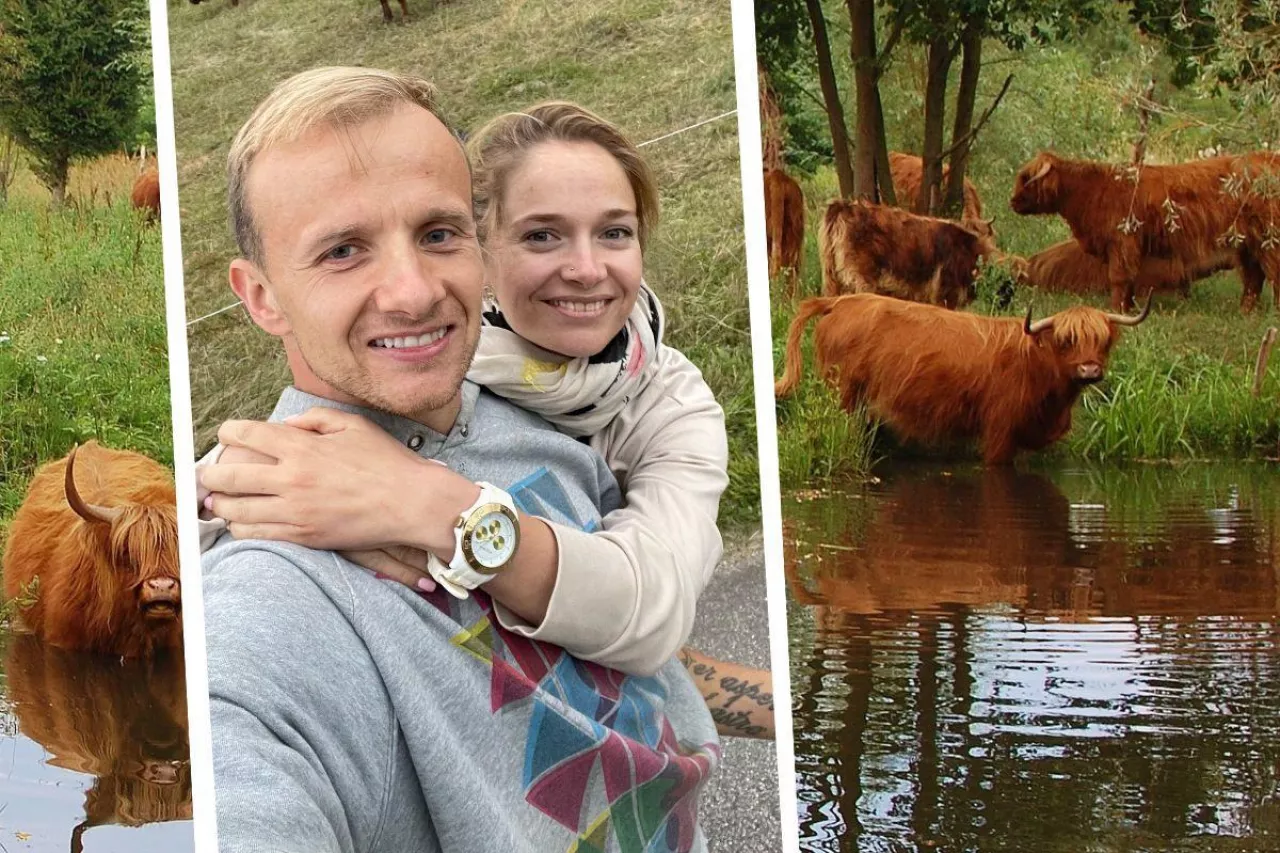 &lt;p&gt;Pawel Bodzianny i Marta Paszkin w swoim gospodarstwie hodują krowy highland&lt;/p&gt;