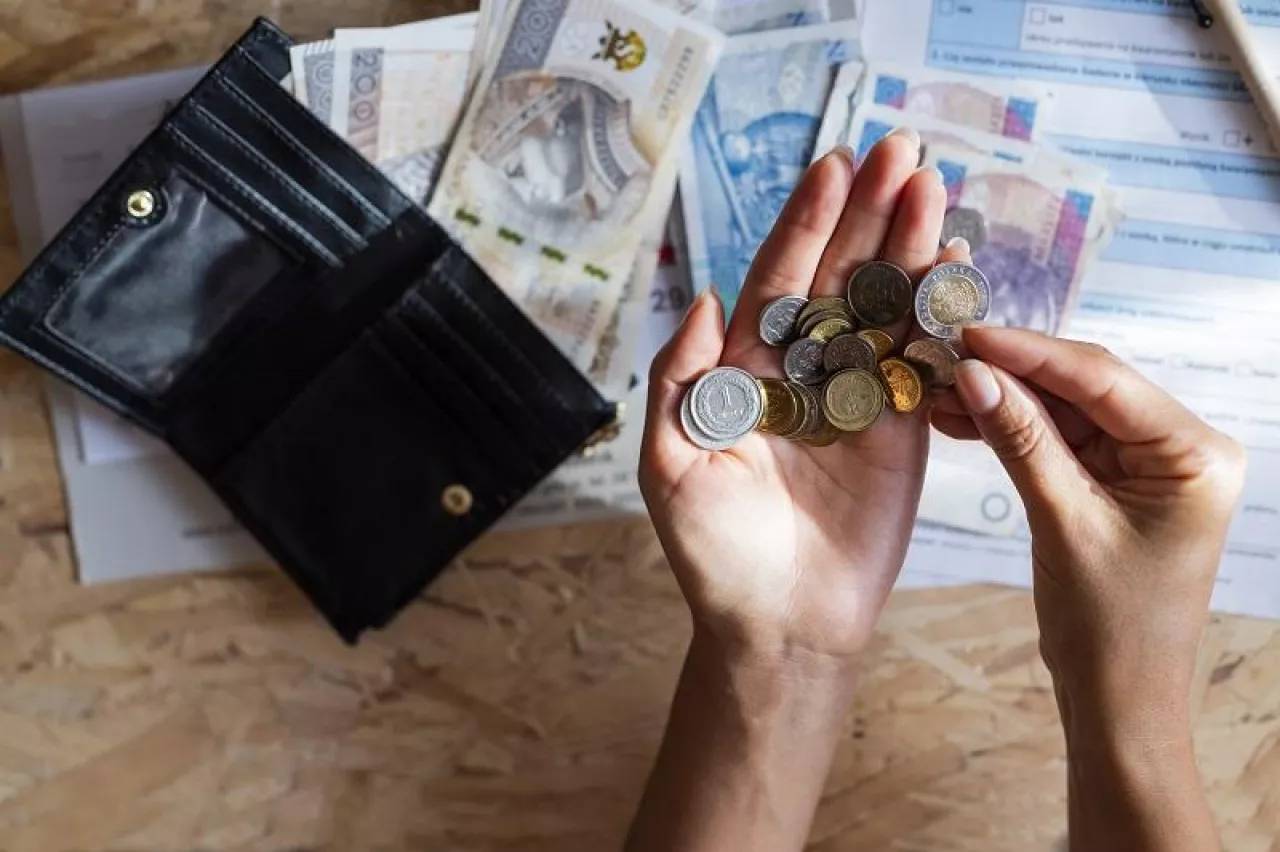 &lt;p&gt;girl holding pennies and zloty paper banknotes in her hands for payment&lt;/p&gt;