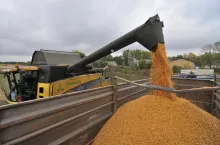 &lt;p&gt;Produkcja benzyny E10 pozwoli sprzedać rolnikom dodatkowe 0,5 MLN ton kukurydzy&lt;/p&gt;