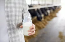 &lt;p&gt;17,5 mln euro na dopłaty do mleka. Kto je dostanie?&lt;/p&gt;