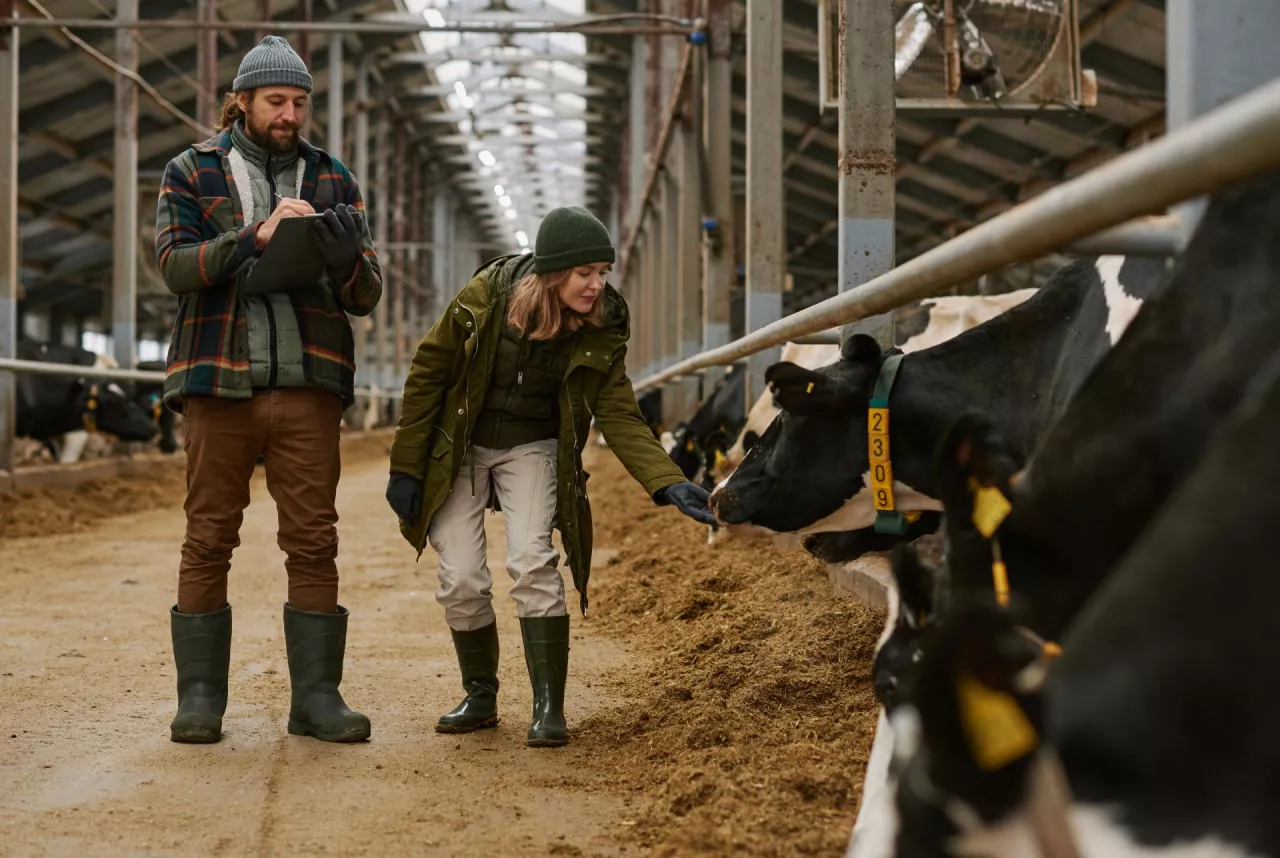 &lt;p&gt;Przez ustawę hiszpańską rolnicy mają problemy ze sprzedażą mleka&lt;/p&gt;