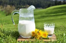 &lt;p&gt;Przewiduje się, że w sierpniu będzie obserwowany wyższy poziom stabilności ceny mleka.&lt;/p&gt;