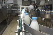 &lt;p&gt;Coraz powszechniej mówi się o powrocie, dobrowolnego tym razem, mechanizmu kwot mlecznych, bo konieczne będzie ograniczanie ilości mleka na poziomie Unii Europejskiej.&lt;/p&gt;
