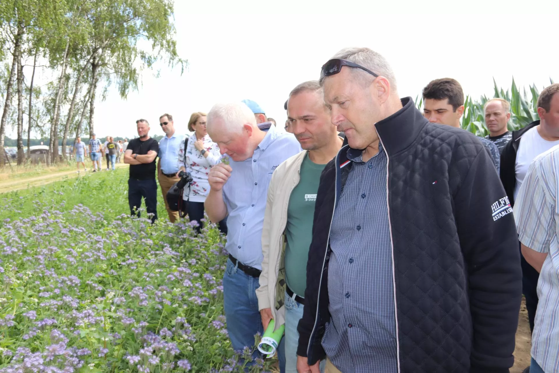 Czy rolnikowi opłaca się wydać pieniądze na mieszanki poplonowe?