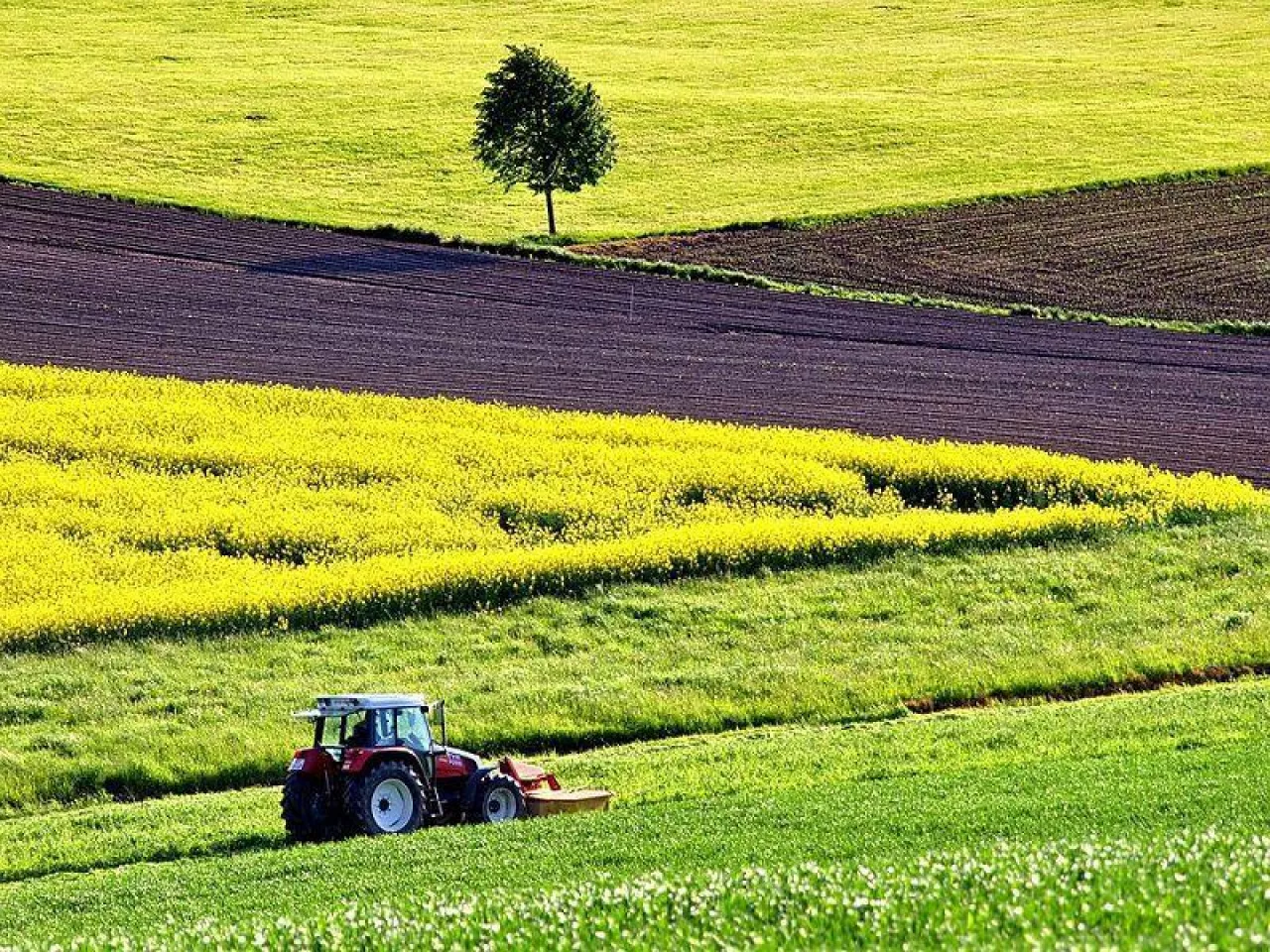 &lt;p&gt;GAEC 7 i 8 wchodzą w życie. Jak to utrudni pracę rolnikom?&lt;/p&gt;