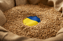 &lt;p&gt;Ukraina z nową propozycją w sprawie importu zboża. ”Uwzględnia racje polskich rolników”&lt;/p&gt;
