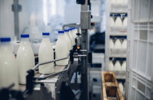 &lt;p&gt;Które mleczarnie wyróżniono podczas Międzynarodowego Forum Spółdzielczości Mleczarskiej 2023 r.?&lt;/p&gt;