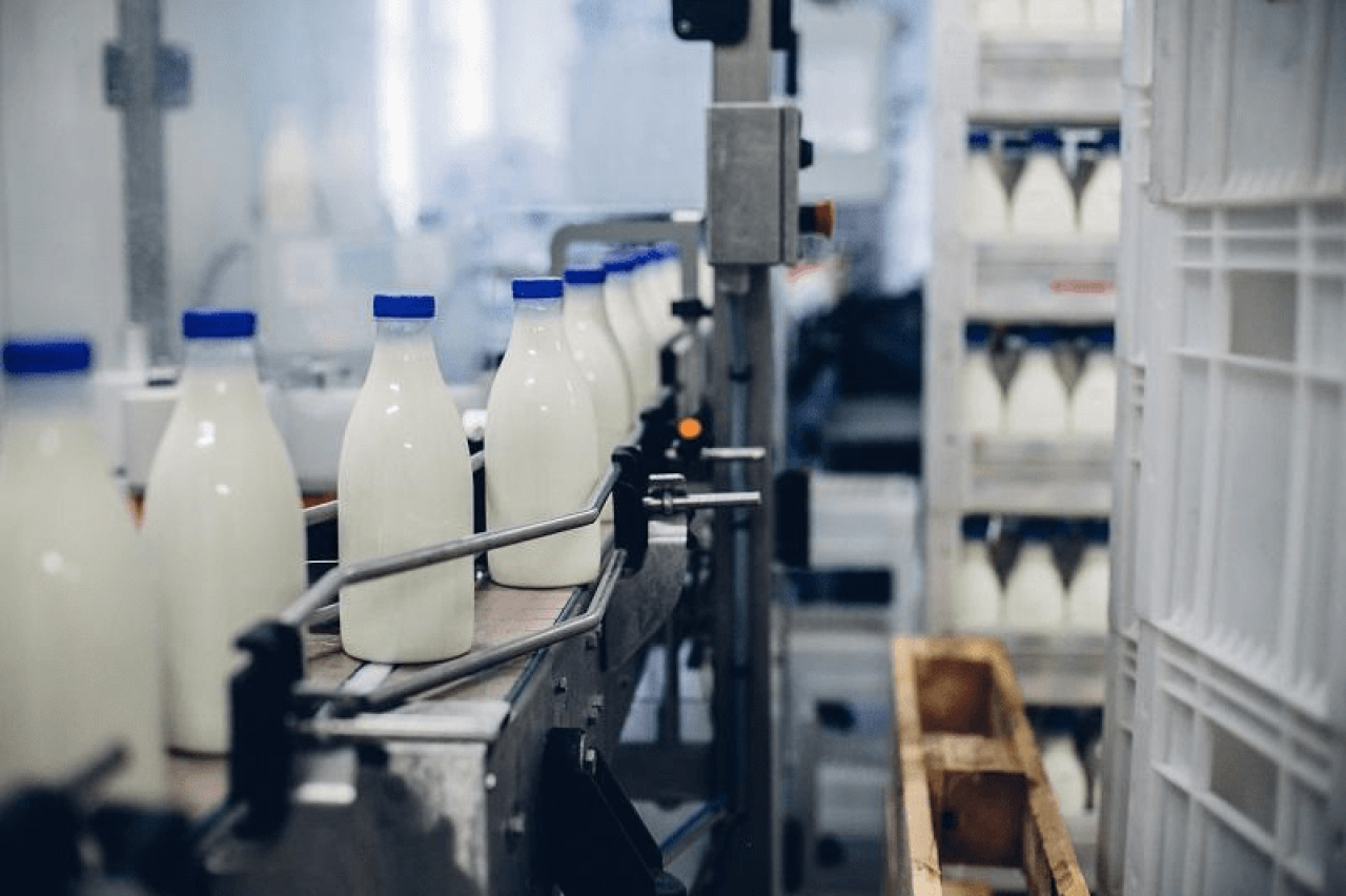 &lt;p&gt;Które mleczarnie wyróżniono podczas Międzynarodowego Forum Spółdzielczości Mleczarskiej 2023 r.?&lt;/p&gt;