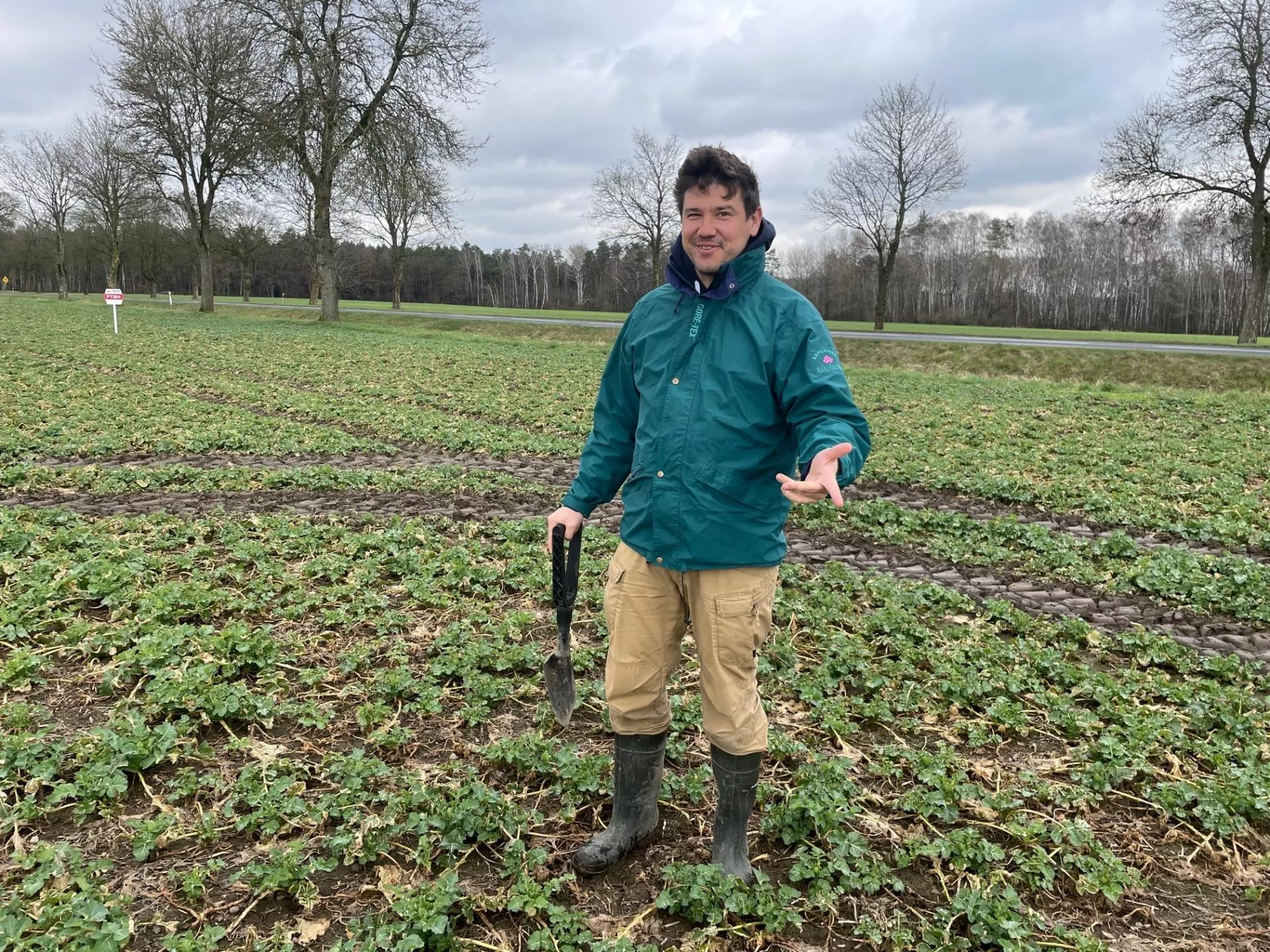 Jaki jest stan plantacji rzepaku? Jak o niego zadbać jesienią?