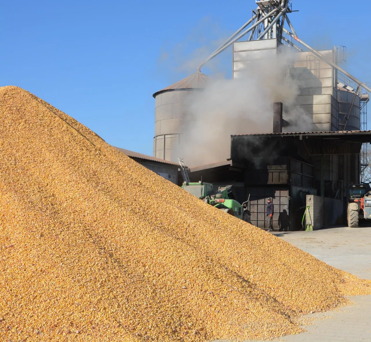 &lt;p&gt;Sprzedać mokrą kukurydzę czy ją suszyć? Eksperci policzyli, co się bardziej opłaca rolnikowi&lt;/p&gt;