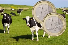 &lt;p&gt;Niemcy chcą znieść dopłaty bezpośrednie dla rolników w całej UE&lt;/p&gt;