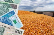 &lt;p&gt;Dopłaty do zbóż i rzepaku: KE zatwierdza pomoc dla rolników. Kto dostanie pieniądze?&lt;/p&gt;