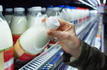 &lt;p&gt;W obszarze produkcji mleka w całej UE widać trend, znany od lat w Polsce. Zmniejszająca się wielkość pogłowia nie wpływa na spadek dostaw do zakładów mleczarskich.&lt;/p&gt;