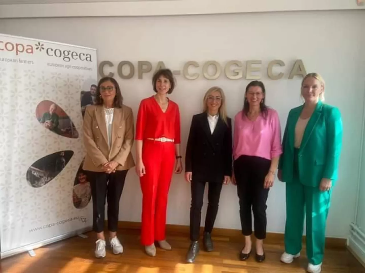 &lt;p&gt;Prezydencja Komisji Kobiet Copa-Cogeca&lt;/p&gt;