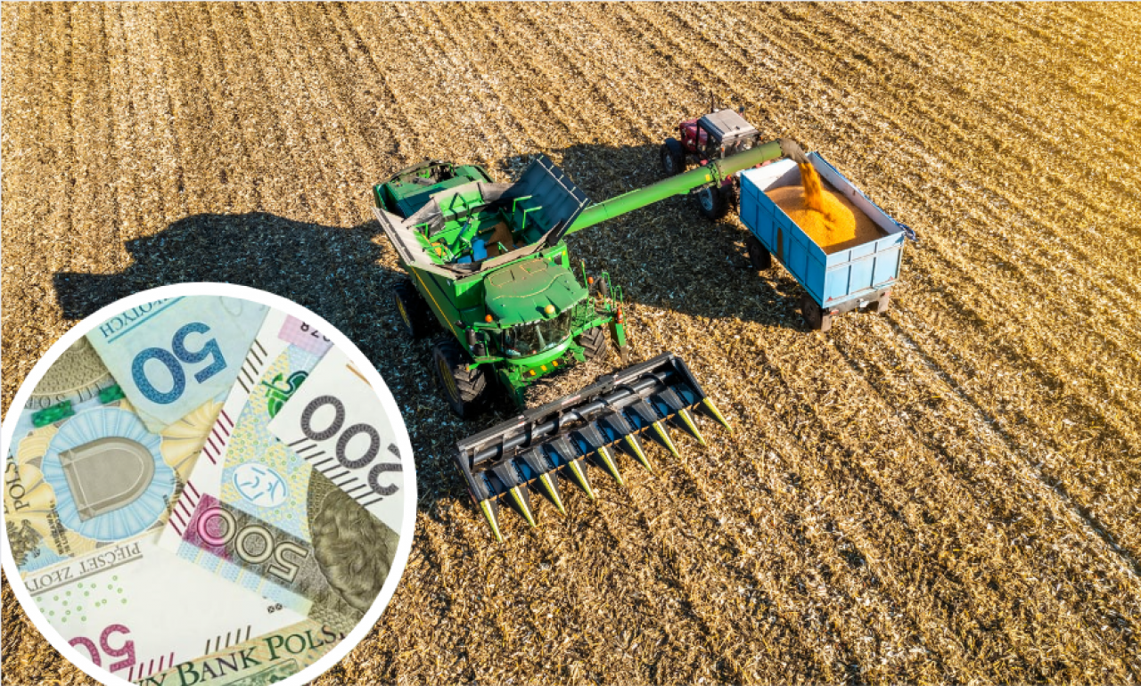 &lt;p&gt;Ceny kukurydzy spadły do 300 zł/t. Rolnicy domagają się dopłat i skupu interwencyjnego&lt;/p&gt;