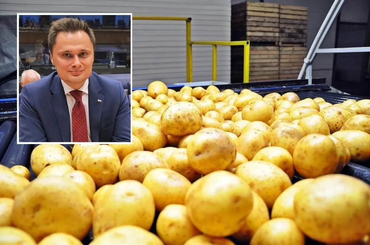 &lt;p&gt;Jeśli tanie ziemniaki z Ukrainy zaleją nasz rynek, polscy rolnicy będą mieć ogromne problemy ze sprzedażą swoich produktów. &lt;/p&gt;