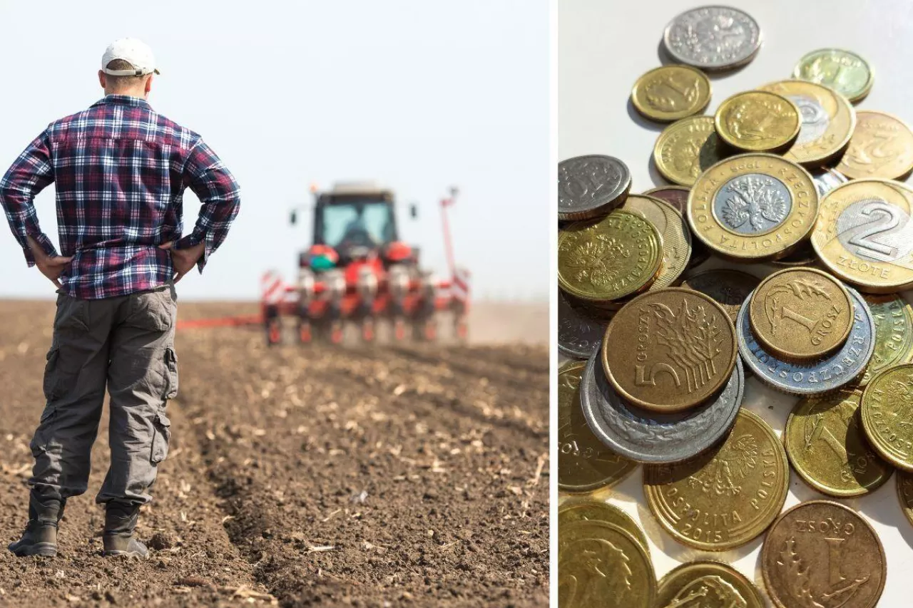 &lt;p&gt;W Polsce jest tylko 400 tys. aktywnych rolników. ”Fikcyjne gospodarstwa są najobficiej dotowane”&lt;/p&gt;