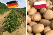 &lt;p&gt;Niemieckie ziemniaki sprzedawane jako polskie UOKiK nałożył na Kaufland potężną karę. Co na to sąd&lt;/p&gt;