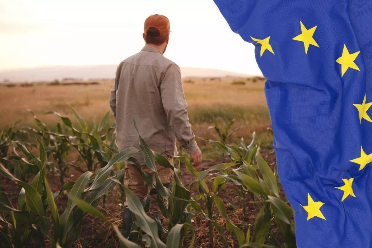 &lt;p&gt;UE kontra rolnicy&lt;/p&gt;