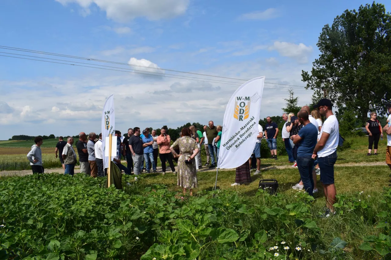 &lt;p&gt;W gospodarstwie państwa Głowackich 30 czerwca br. odbyły się III Warmińsko-Mazurskie Dni Pola organizowane wspólnie z WMODR w Olsztynie. Rolnicy licznie przybyli żeby zobaczyć plantacje słonecznika, posłuchać praktyka i spotkać się z ekspertami&lt;/p&gt;