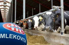 &lt;p&gt;Mlekovita zbuduje nową fabrykę mleka UHT za 260 mln zł. Rząd dorzuci się do inwestycji&lt;/p&gt;