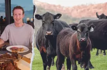 &lt;p&gt;Szef Facebooka zabrał się za hodowlę bydła. Jakie rasy wybrał?&lt;/p&gt;