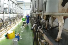&lt;p&gt;Europejscy klienci nie są już zainteresowani ukraińskimi produktami mlecznymi ze względu na ich obecne ceny.&lt;/p&gt;