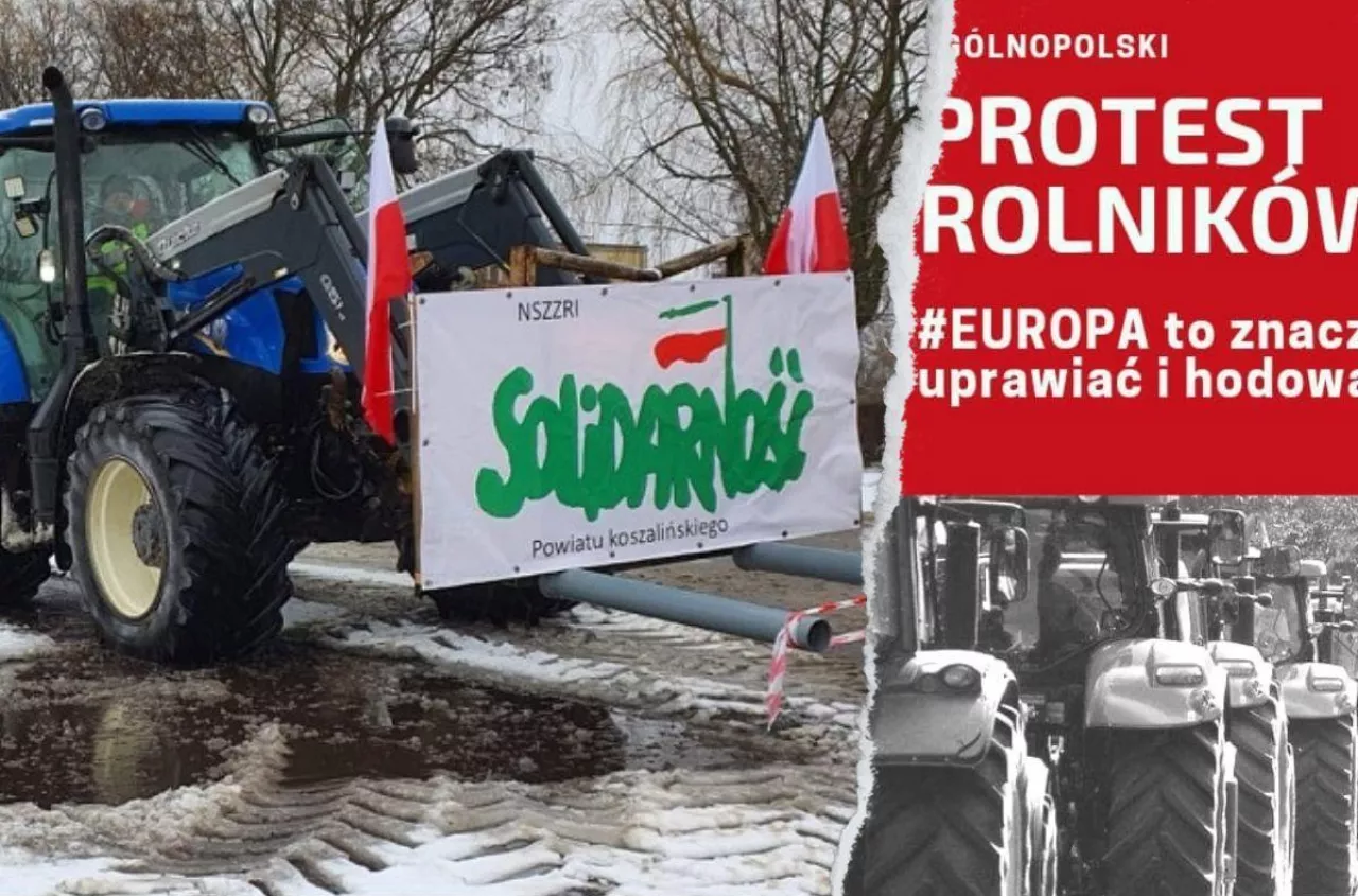 Protesty rolnicze 24 stycznia: jakie są postulaty rolników?