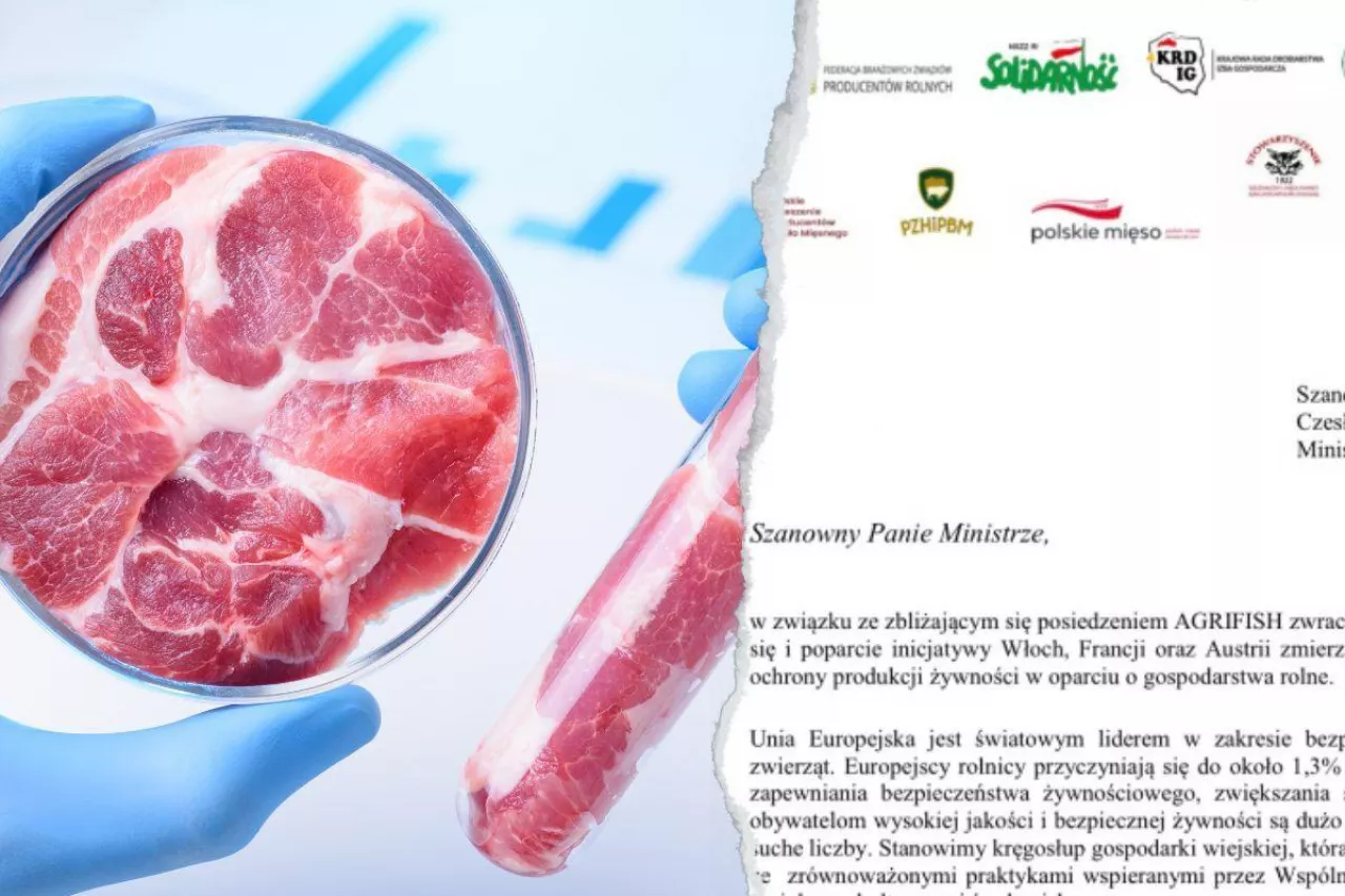 &lt;p&gt;Apel 13 organizacji: Bezpieczeństwo żywnościowe musi być oparte na rolnikach a nie fabrykach sztucznego mięsa&lt;/p&gt;