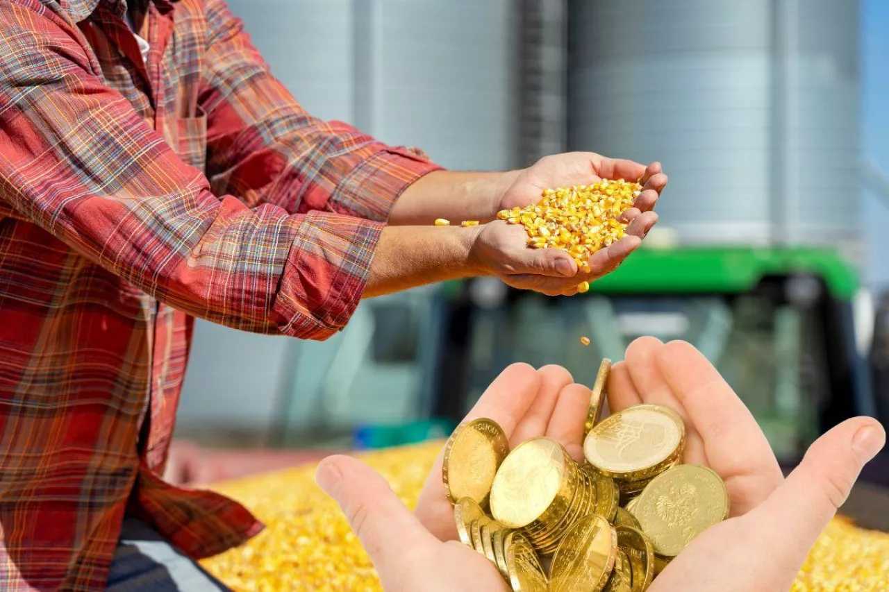 &lt;p&gt;Dopłaty do kukurydzy: KE zgadza się na 1 mld zł dla polskich rolników. Jakie stawki?&lt;/p&gt;