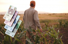 &lt;p&gt;Dopłaty i pomoc dla rolników. Jakie pieniądze dla rolnictwa na początku 2024?&lt;/p&gt;