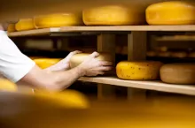&lt;p&gt;Przewiduje się, że do końca tego roku światowe spożycie sera osiągnie nowy rekordowy poziom 21,6 miliona ton. Według niedawnego raportu Rabobanku, Chiny mogą być motorem wzrostu dla światowego handlu serami.&lt;/p&gt;