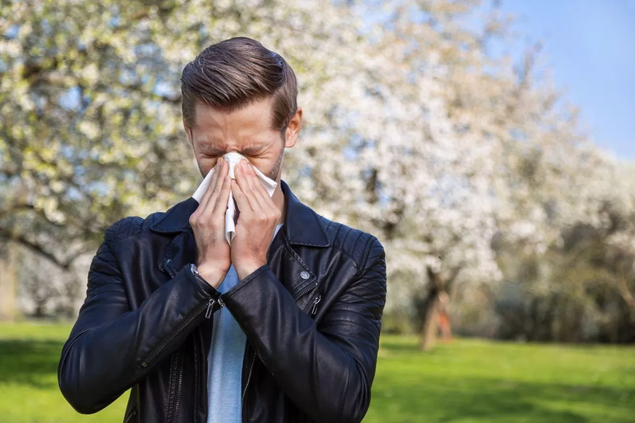 &lt;p&gt;Przeziębienie czy alergia? Jak odróżnić? KALENDARZ pylenia&lt;/p&gt;