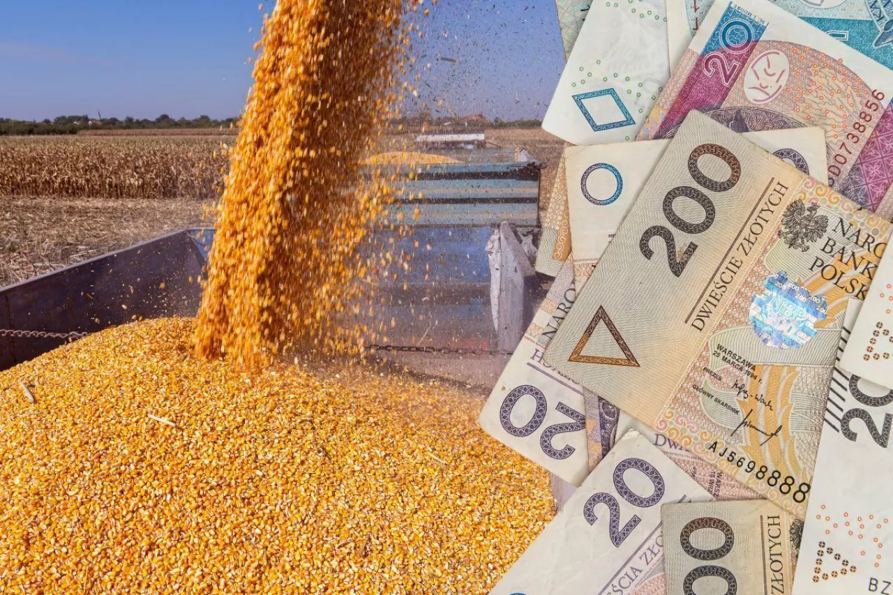 &lt;p&gt;Dopłaty do kukurydzy: już 100 tys. rolników złożyło wnioski. Jakie są STAWKI?&lt;/p&gt;