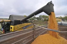 &lt;p&gt;Dlaczego ceny zbóż w Polsce są tak niskie? Import z Ukrainy i Rosji to tylko część odpowiedzi&lt;/p&gt;