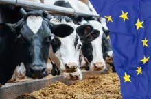 &lt;p&gt;”Produkcja żywności stała się pułapką finansową dla rolników”. EMB żąda szybkich reform w UE&lt;/p&gt;