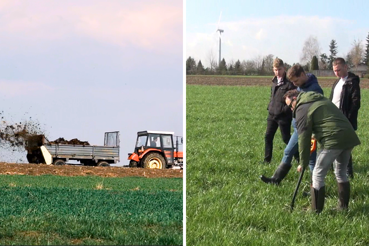 Rolnictwo Regeneratywne Daje Efekt Nawet Na Słabych Glebach Wideo 9427