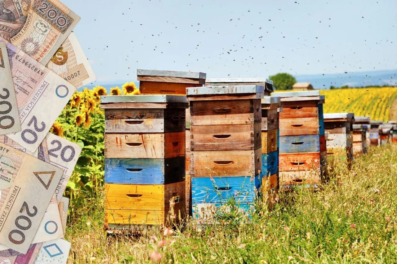 Dopłaty dla pszczelarzy: coraz mniej czasu na złożenie wniosku
