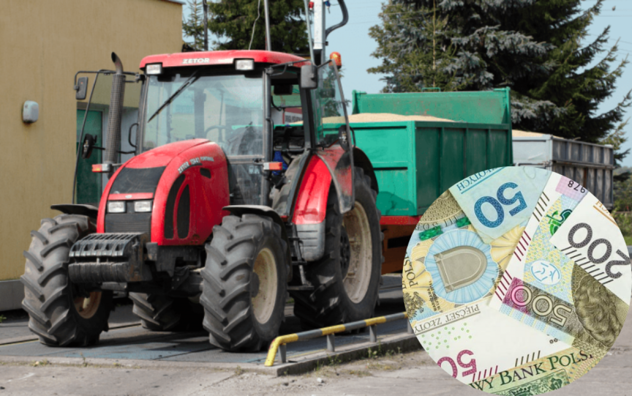 Rolnicy żądają rekompensat za napływ produktów rolnych z Ukrainy. Dopłaty do jakich upraw?