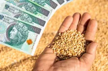 Dopłaty do zbóż także za rzepak i dla rolników ryczałtowych? ”Oni też ponoszą duże straty”