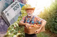 Kiedy rolnicy dostaną 13. emeryturę z KRUS?