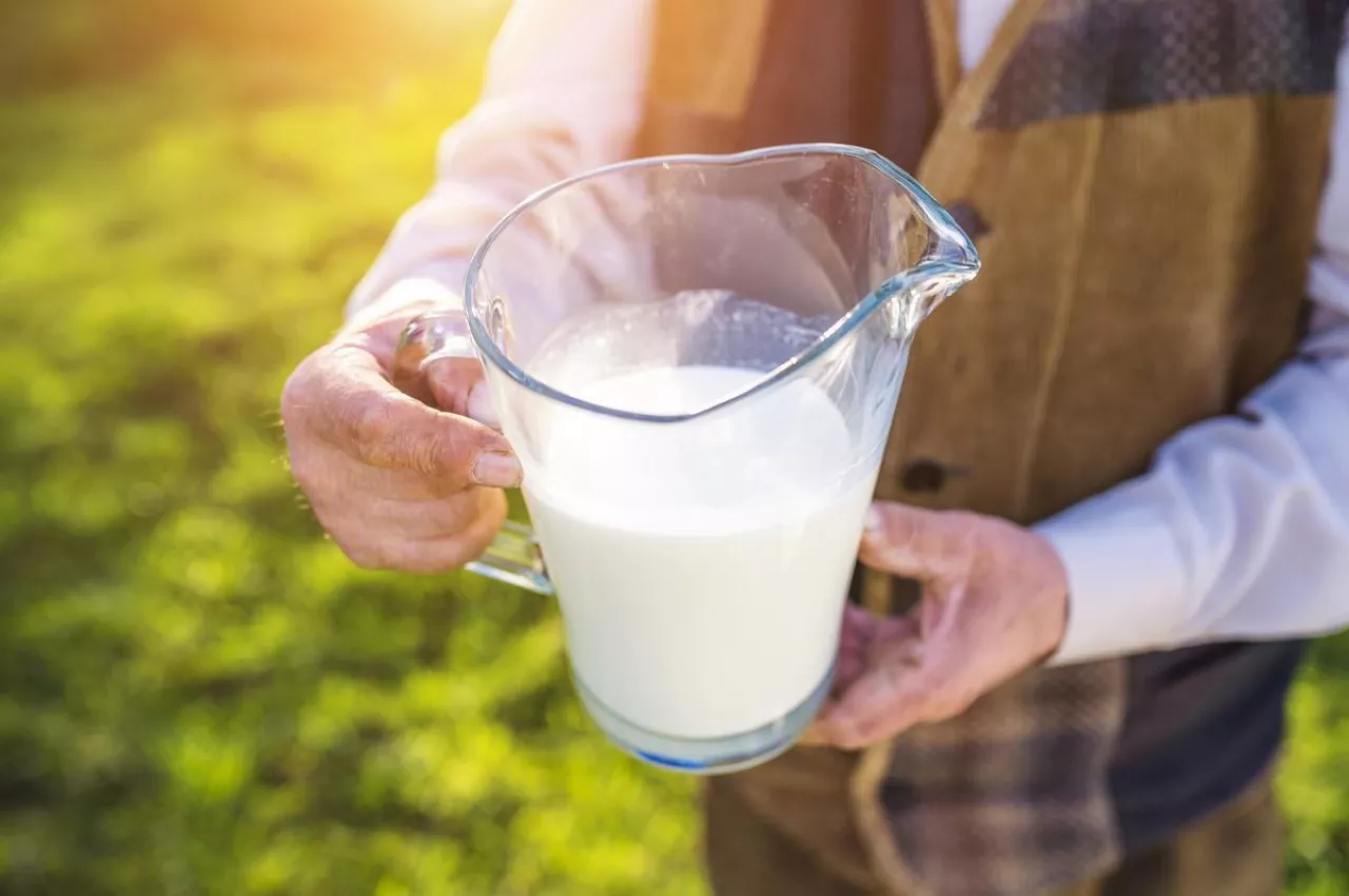 Na objęcie kaucją opakowań mleczarskich poza Polską zdecydowały się wyłącznie dwa państwa